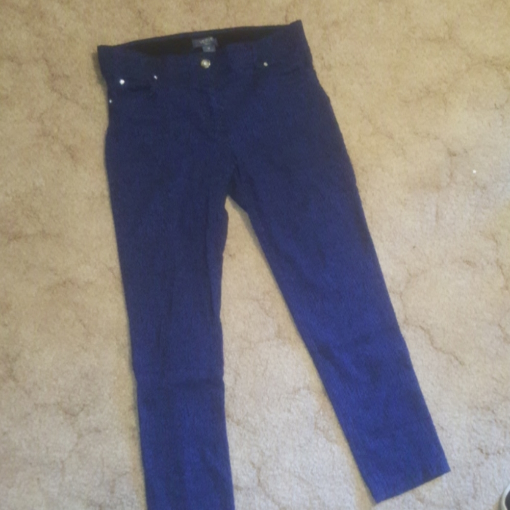 Verve blues  brand blue pants